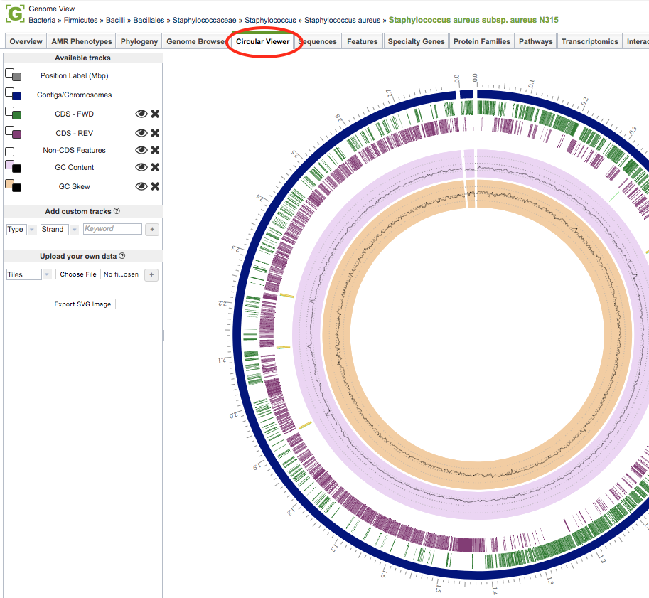 Circular Genome Viewer