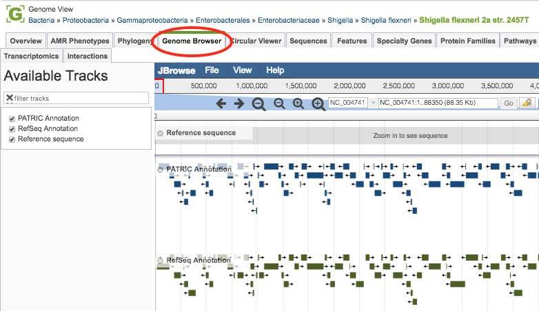 Genome Browser