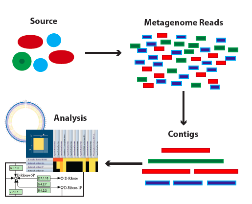 PATRIC Webinar Metagenomic Binning